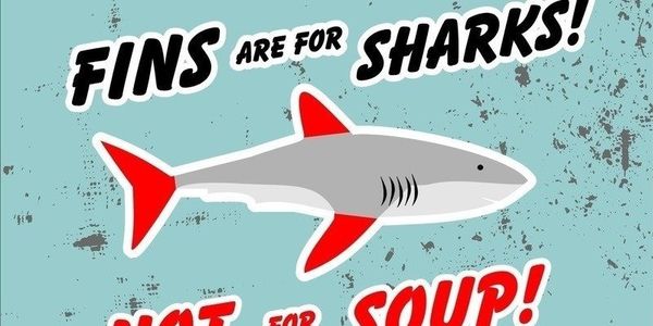 Stop shark finning